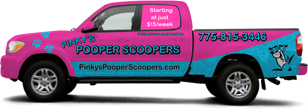 Dog poop best sale scooper service